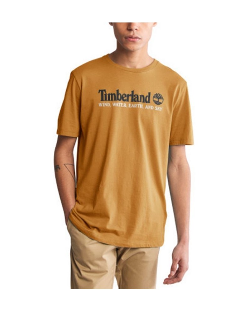 Men's "Wind Water, Earth, & Sky" Front Graphic T-shirt Brown $21.00 T-Shirts